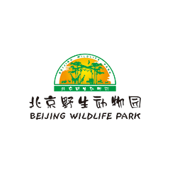 迪威国际厅 -首页官网入口