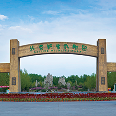 迪威国际厅 -首页官网入口