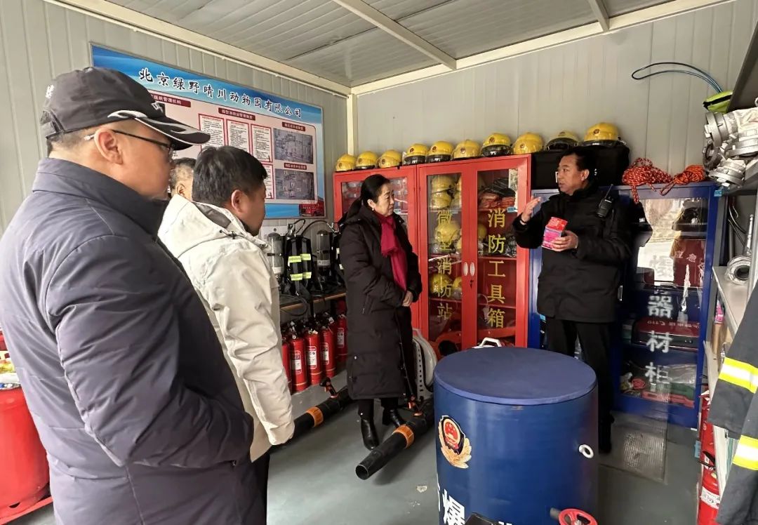 迪威国际厅 -首页官网入口